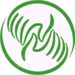 LogoMassagetraumHweiß
